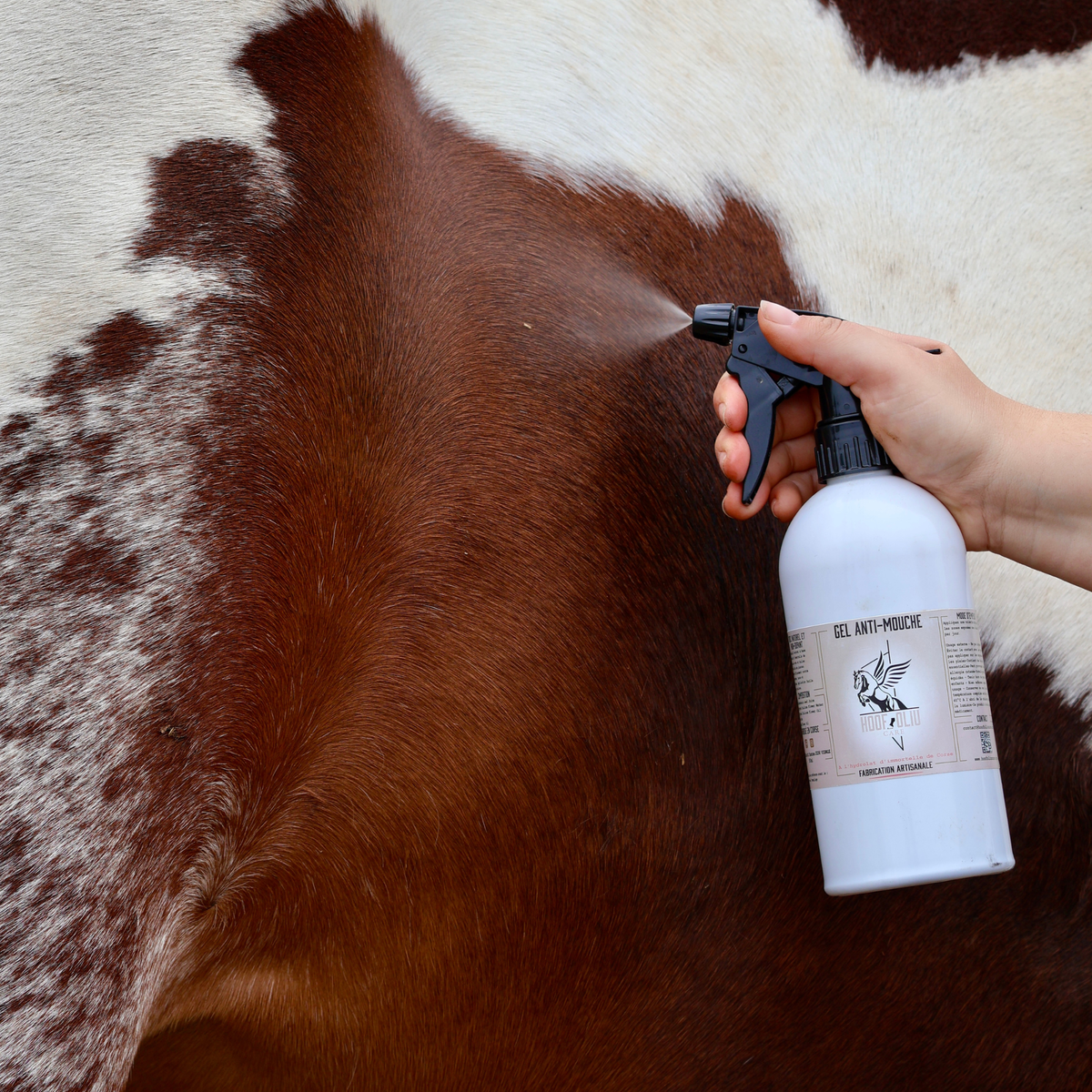 Spray Anti-Insectes