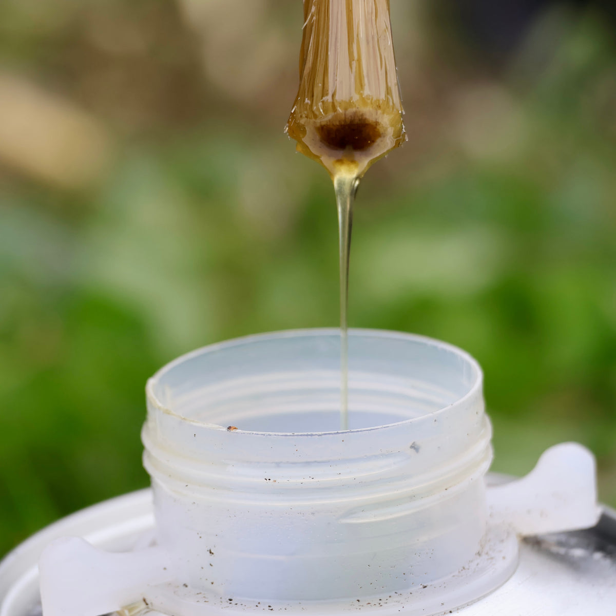 Onguent Liquide — photo 5